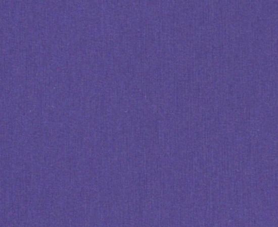 chintz-72