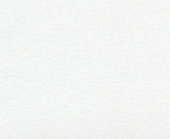 chintz01