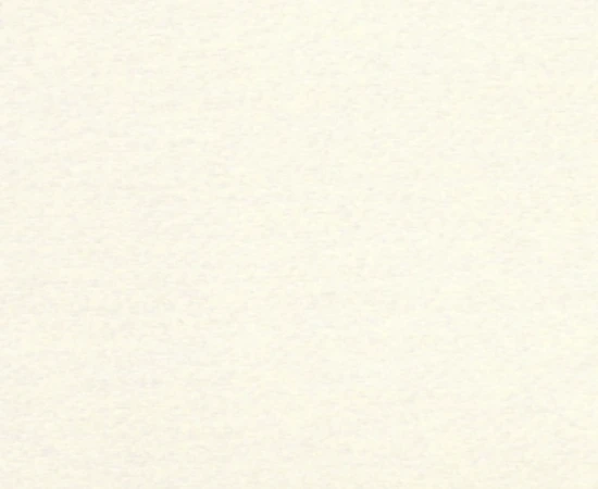 chintz02