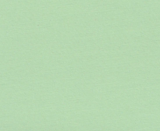 chintz04