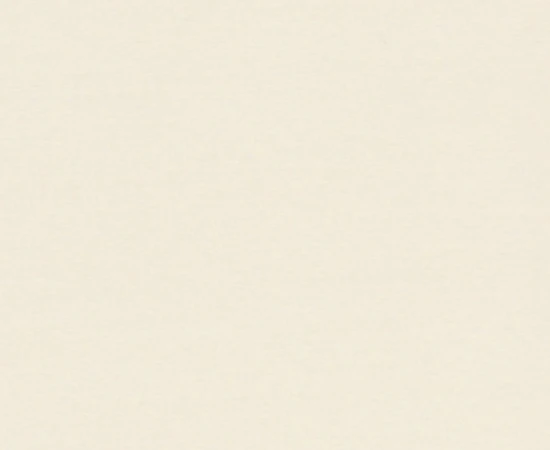 chintz12