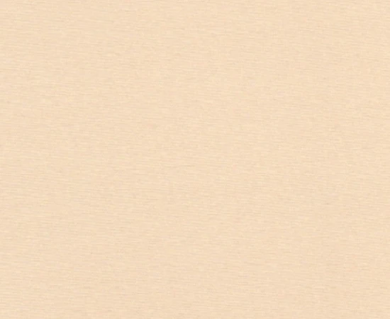 chintz16
