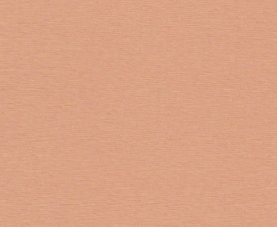 chintz26