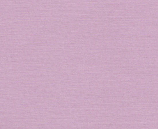 chintz27