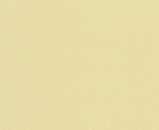 chintz31
